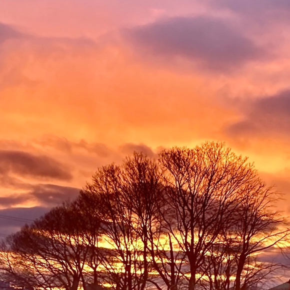 Meet your Posher, Audrey - Picture 1 of 1